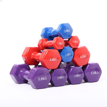 Small Colorful Dumbbells